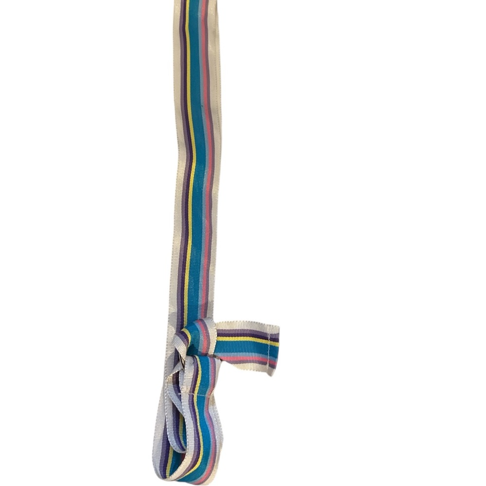 Multi Colored Striped Ribbon Belt - Picture 2 of 2